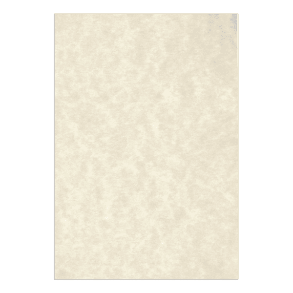 LAGUNA ΧΑΡΤΙ ΠΑΠΥΡΟΣ 250Φ Α4 90gr 4460/FA2054-P ΜΠΕΖ