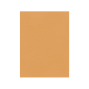 FAVINI ΧΑΡΤΟΝΙ 50x70cm 220gr Νο12 TABACCO