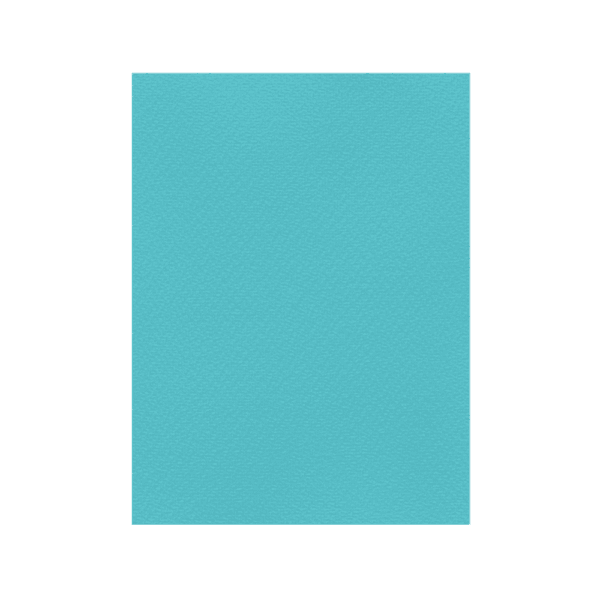 FAVINI ΧΑΡΤΟΝΙ 50x70cm 220gr Νο22 ΤΥΡΚΟΥΑΖ