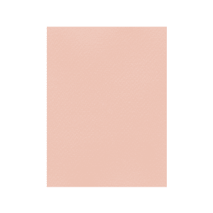 FAVINI ΧΑΡΤΟΝΙ 50x70cm 220gr Νο25 ΡΟΖ ΣΟΛΩΜΟΥ