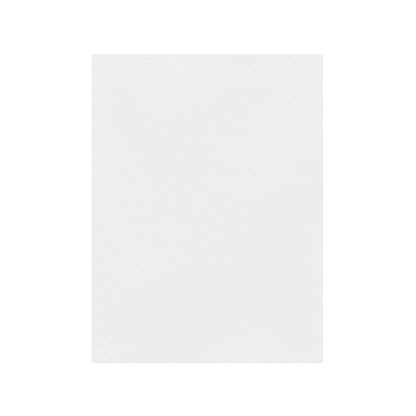 FAVINI ΧΑΡΤΟΝΙ 70x100cm 220gr Νο03 ΛΕΥΚΟ