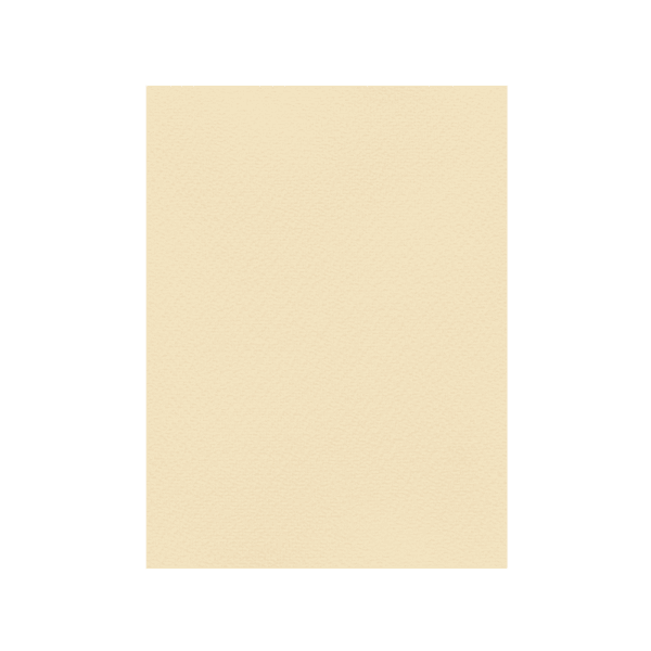 FAVINI ΧΑΡΤΟΝΙ 70x100cm 220gr Νο04 ΚΡΕΜ