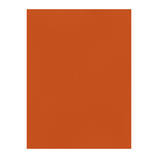 FAVINI ΧΑΡΤΟΝΙ 70x100cm 220gr Νο09 ΠΟΡΤΟΚΑΛΙ