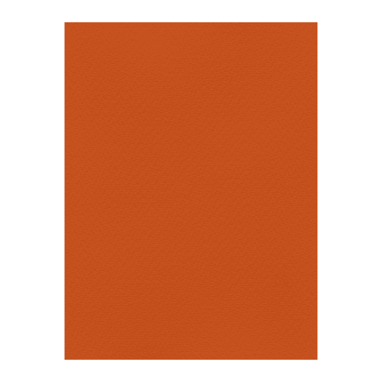 FAVINI ΧΑΡΤΟΝΙ 70x100cm 220gr Νο09 ΠΟΡΤΟΚΑΛΙ