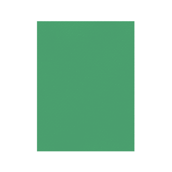 FAVINI ΧΑΡΤΟΝΙ 70x100cm 220gr Νο16 ΠΡΑΣΙΝΟ