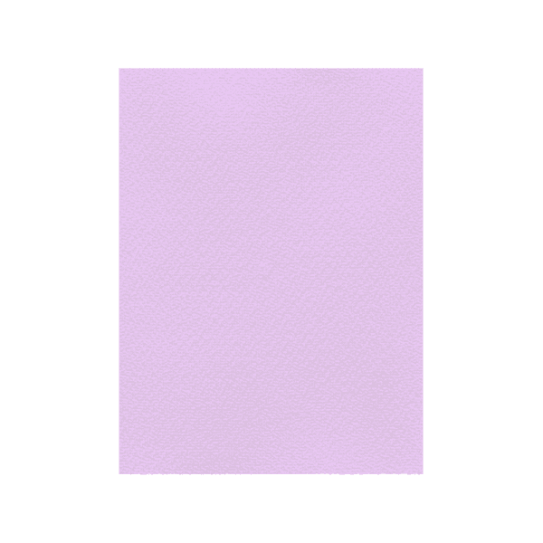 FAVINI ΧΑΡΤΟΝΙ 70x100cm 220gr Νο24 ΛΙΛΑ