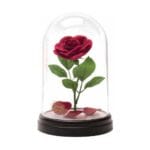 Disney Beauty and the Beast - Enchanted Rose Light (PP4344DPV2)