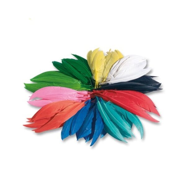 Folia Φτερά Ινδιάνων 100γρ. Διάφορα Χρώματα