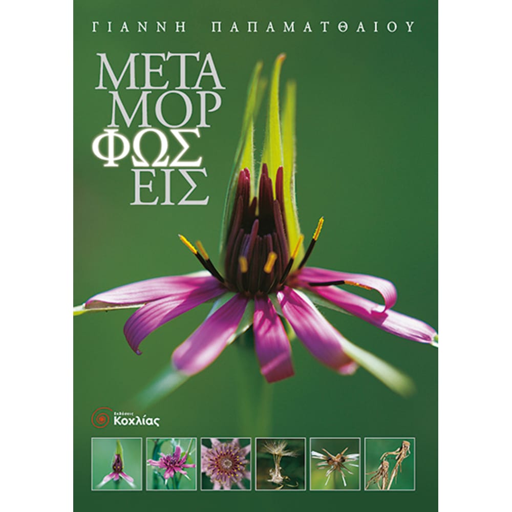 metamorfoseisagrioloulouda7613 Μεταμορφώσεις (Αγριολούλουδα) - Image 1