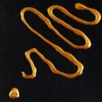 Talens Περίγραμμα Γυαλιού 20ml AMS DECO RELIEF Antique Gold - Image 2