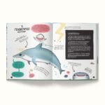 Τα παρεξηγημένα ζώα - Image 3